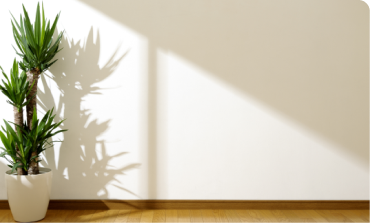 Cozy and Warm Living Area